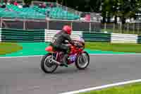 Vintage-motorcycle-club;eventdigitalimages;mallory-park;mallory-park-trackday-photographs;no-limits-trackdays;peter-wileman-photography;trackday-digital-images;trackday-photos;vmcc-festival-1000-bikes-photographs